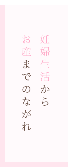 妊婦生活から お産までのながれ